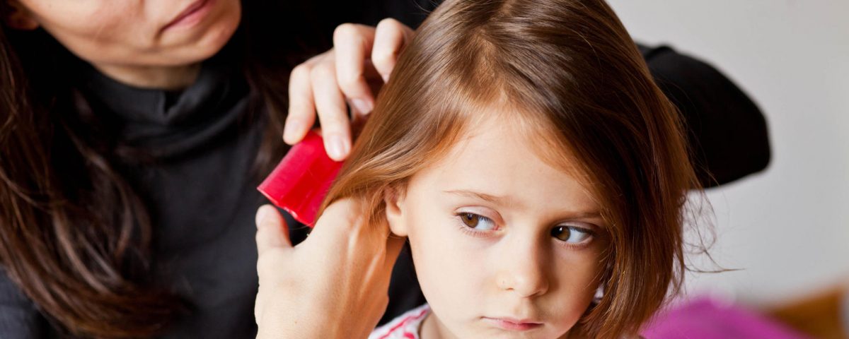 Anti-lice comb.